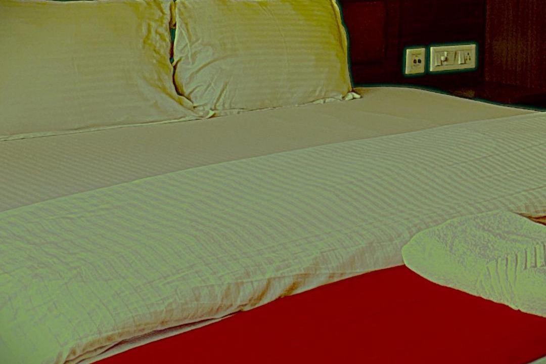 Photo of Bedroom in Kasauli