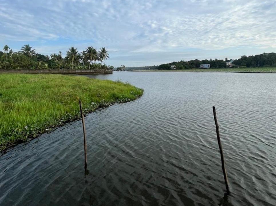 Photo of Others in Vellayani