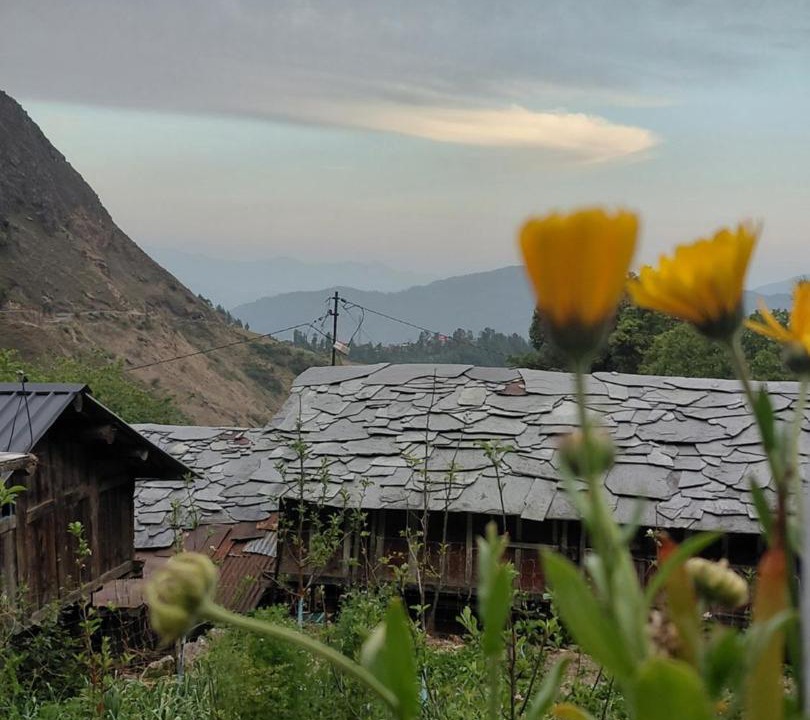 Photo of Others in Chakrata