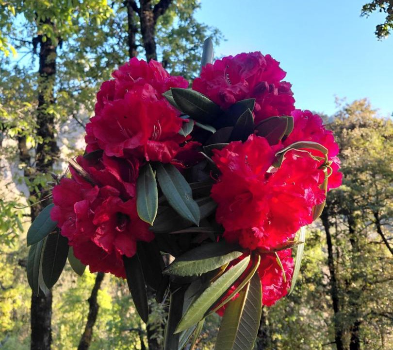Photo of Outdoor in Chakrata