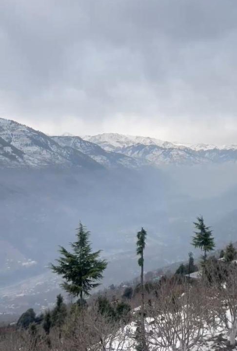 Photo of Others in Mohal
