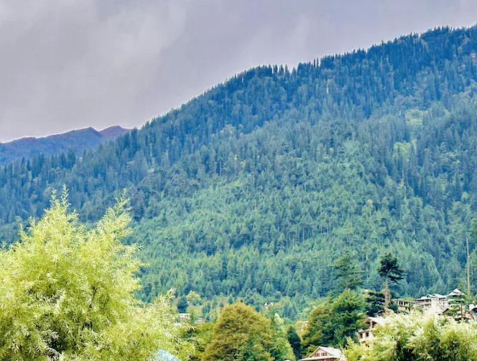 Photo of Others in New Manali