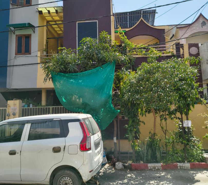 Photo of Others in Bareilly