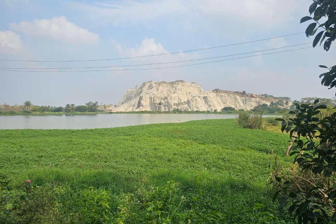 Photo of Others in Narasapura
