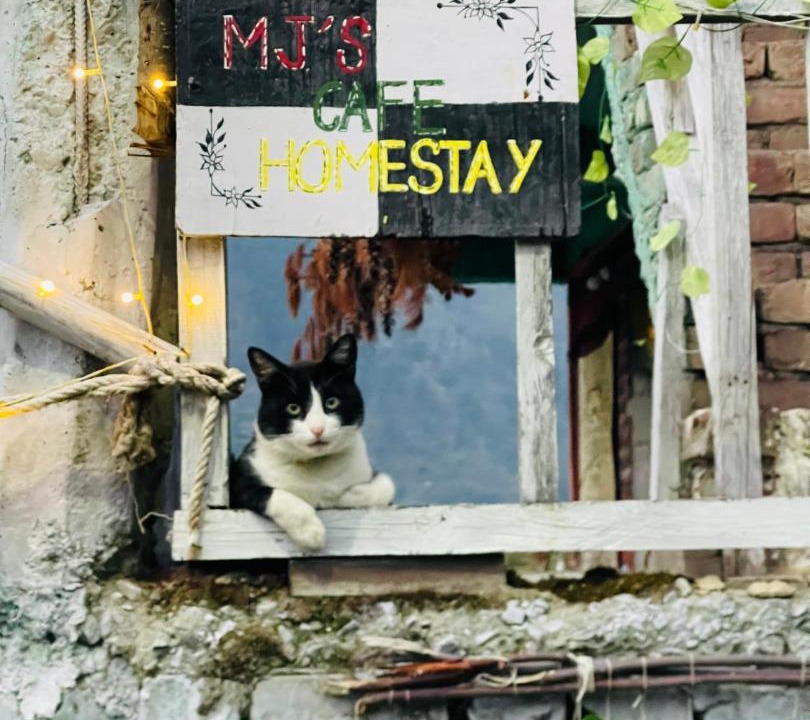Photo of Others in Kullu