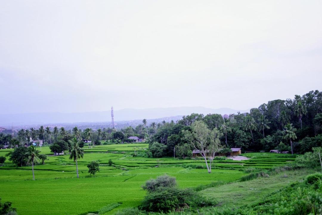 Photo of Others in Sanapur