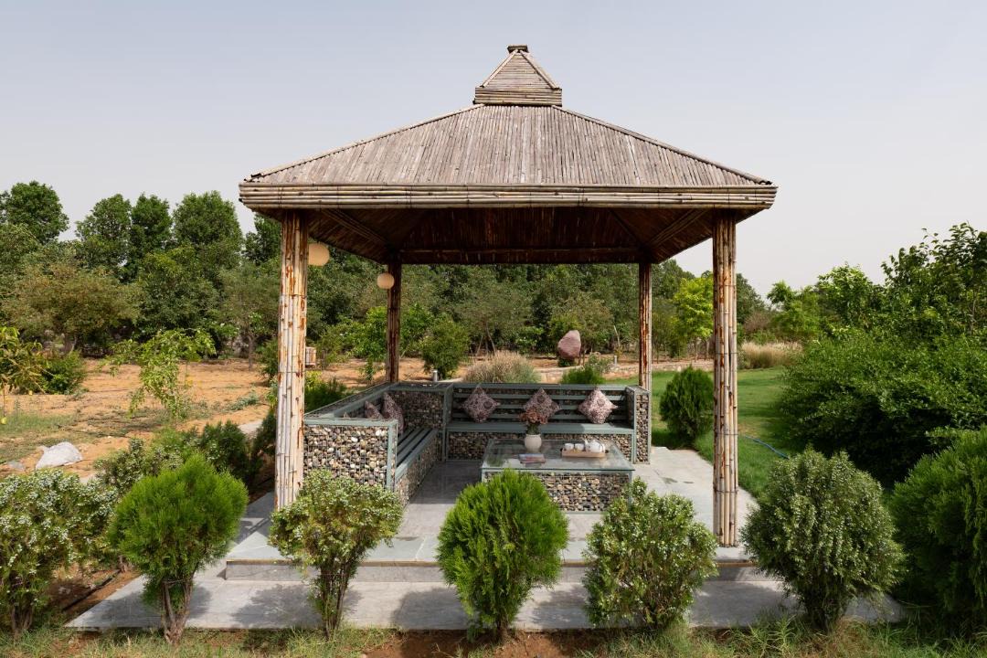 Photo of Others in Rajawas