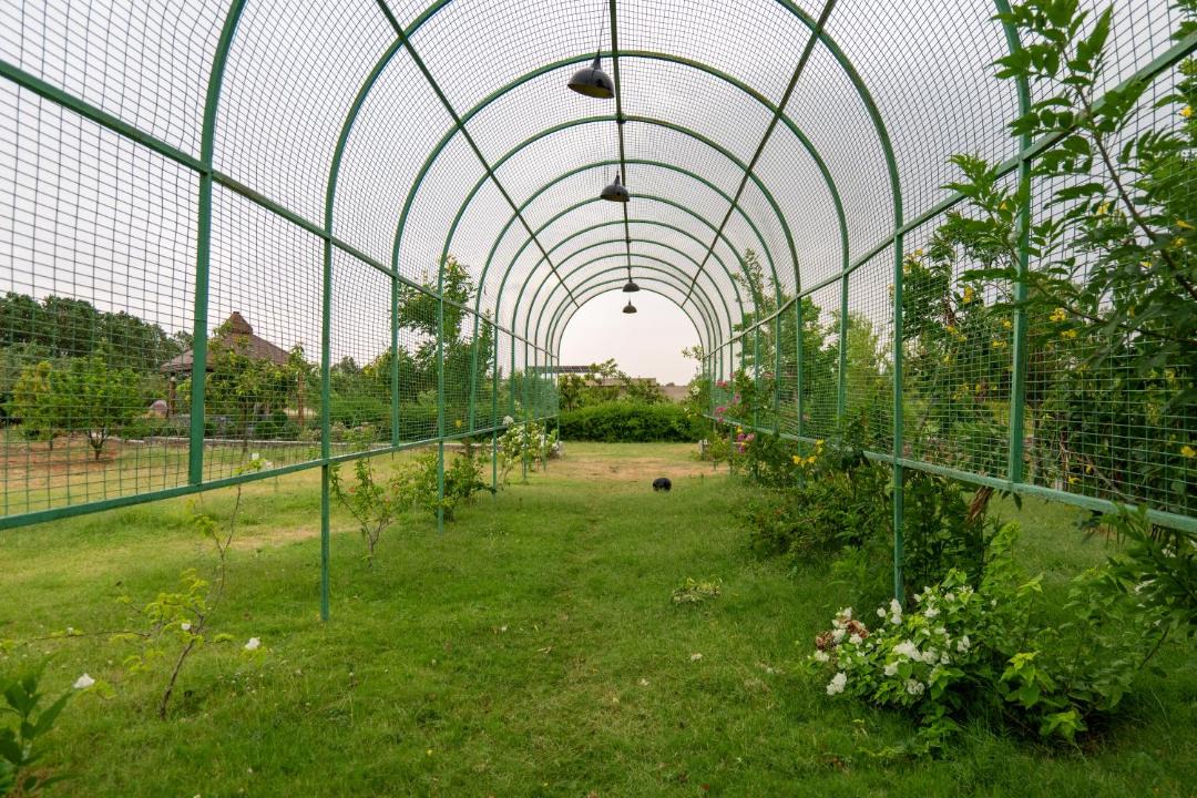 Photo of Outdoor in Rajawas