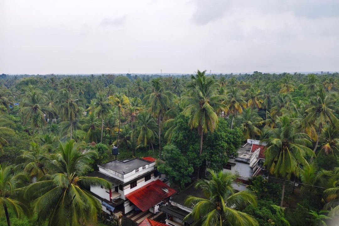 Photo of Others in Chavakkad
