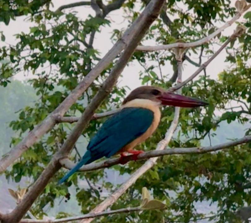 Photo of Others in Turiya
