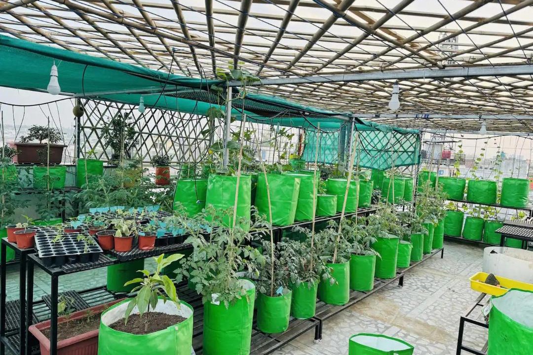 Photo of Others in Kurukshetra