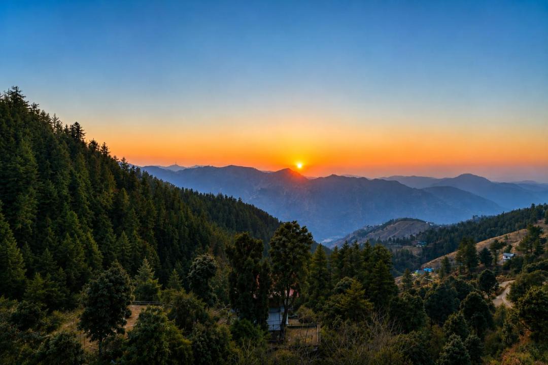 Photo of Others in Shimla