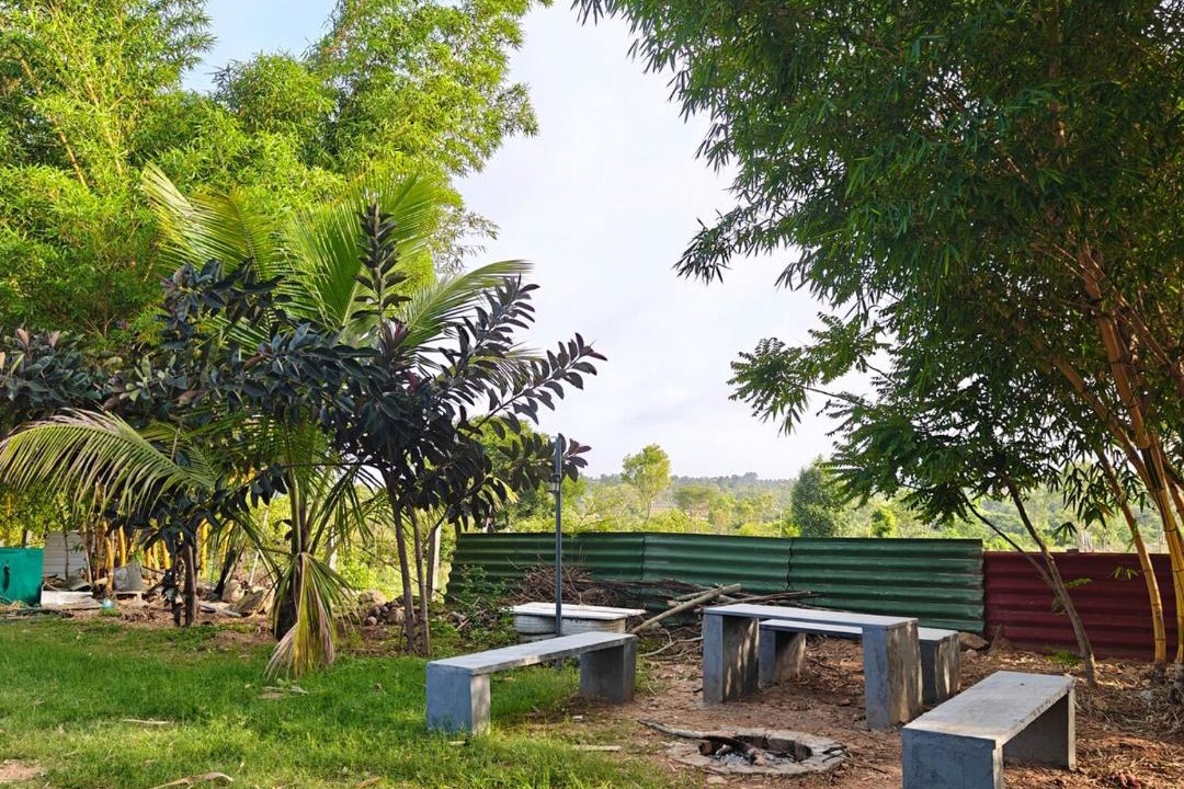 Photo of Others in Manchanabele