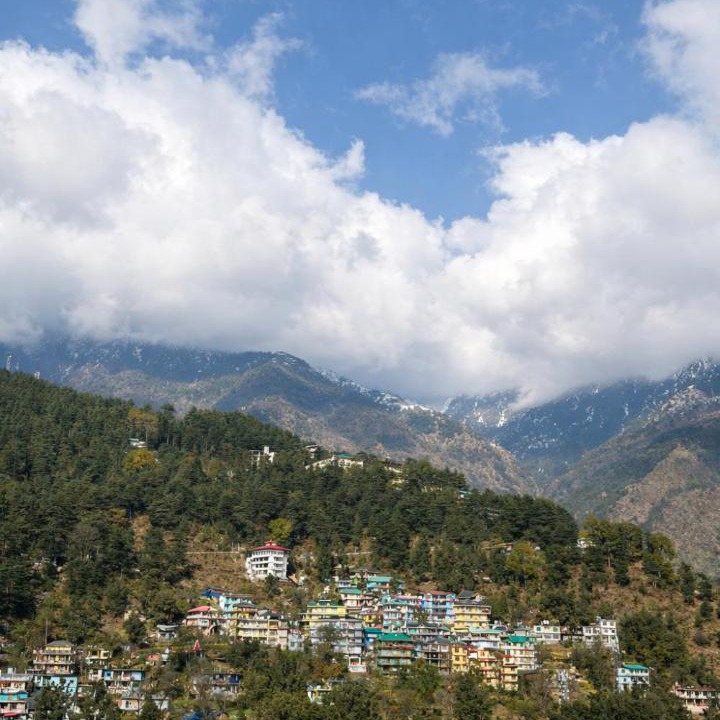Photo of Others in McLeod Ganj