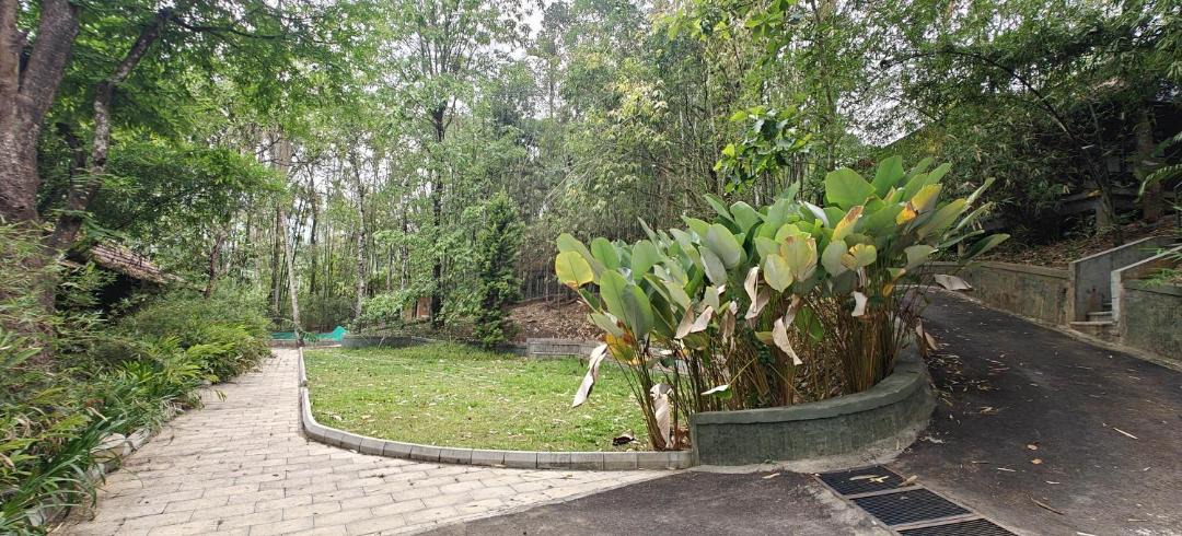 Photo of Outdoor in Sulthan Bathery