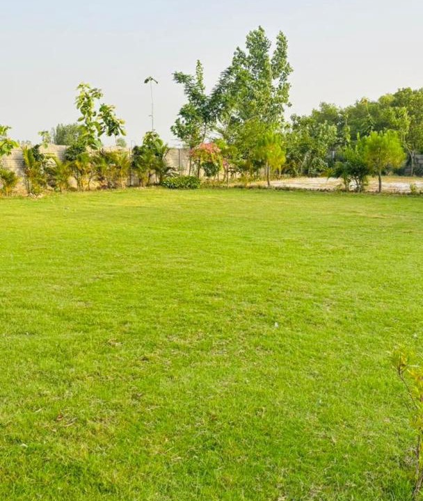 Photo of Others in Bara Banki