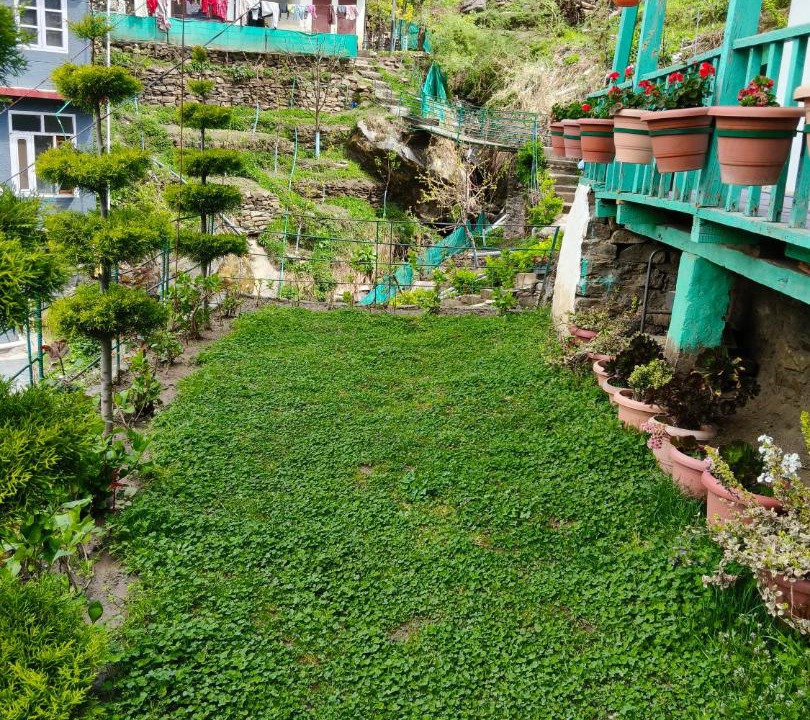 Photo of Others in Manali