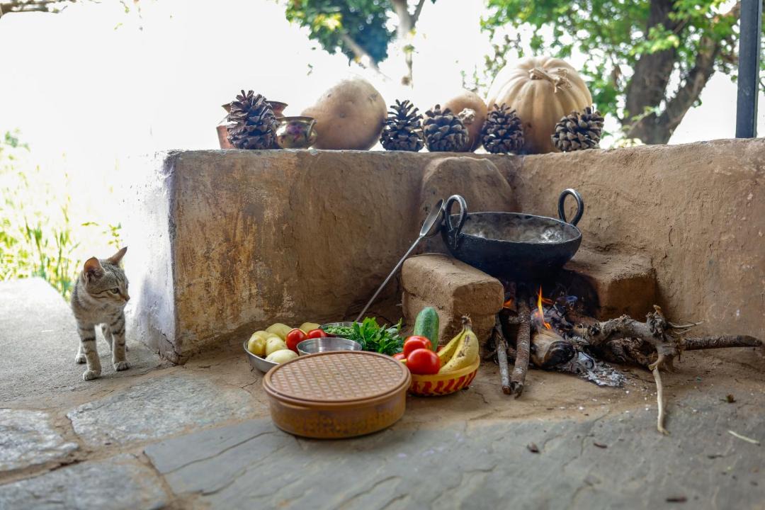 Photo of Others in Majkhali