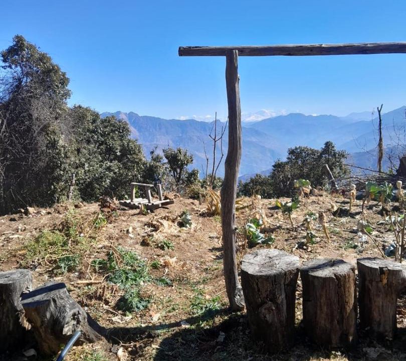 Photo of Others in Tehri