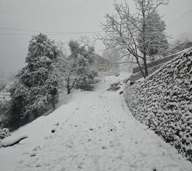 Photo of Others in Gagar