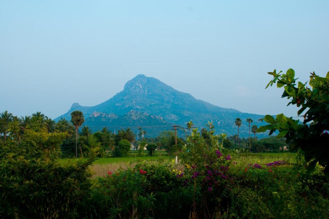 Photo of Others in Tiruvannamalai
