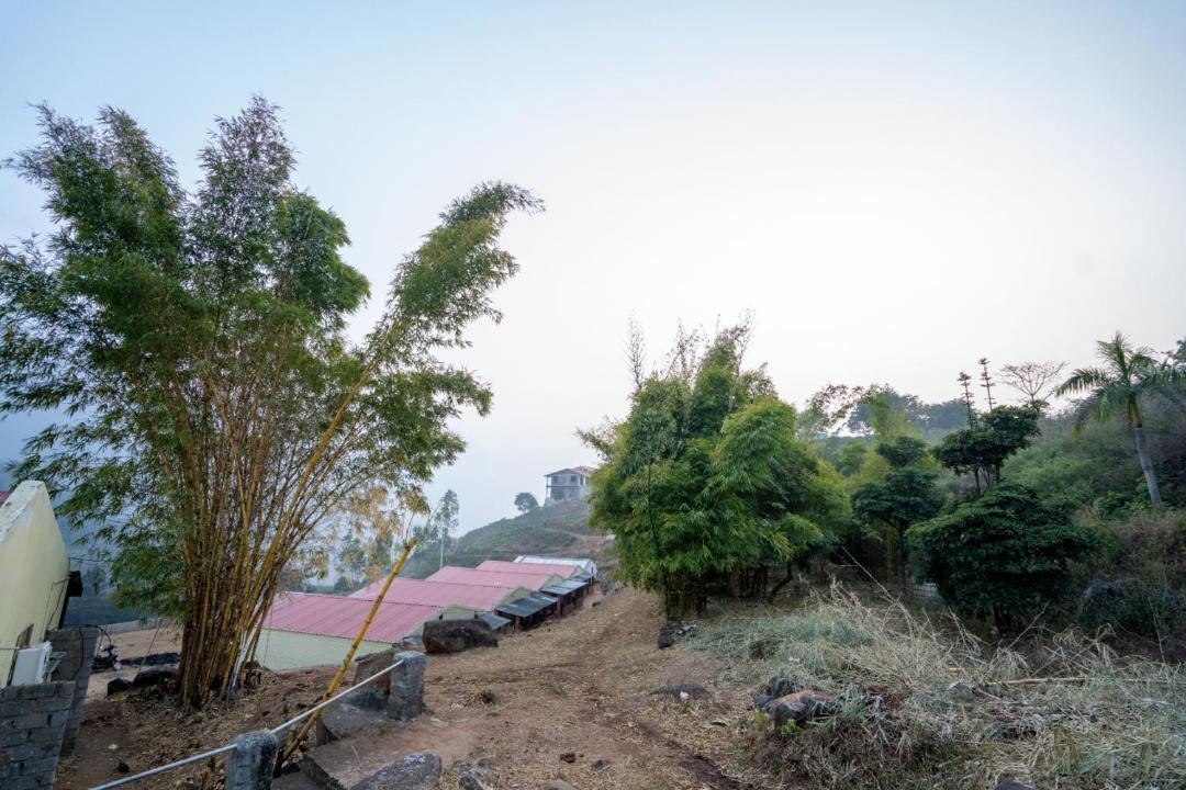 Photo of Others in Ninnimamidi