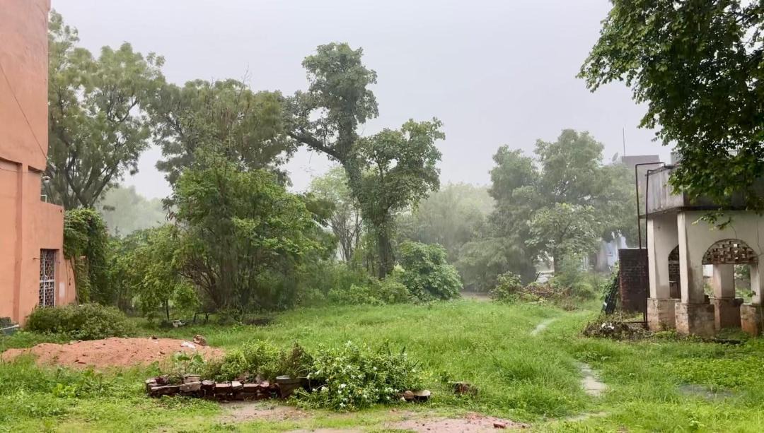 Photo of Others in Datia