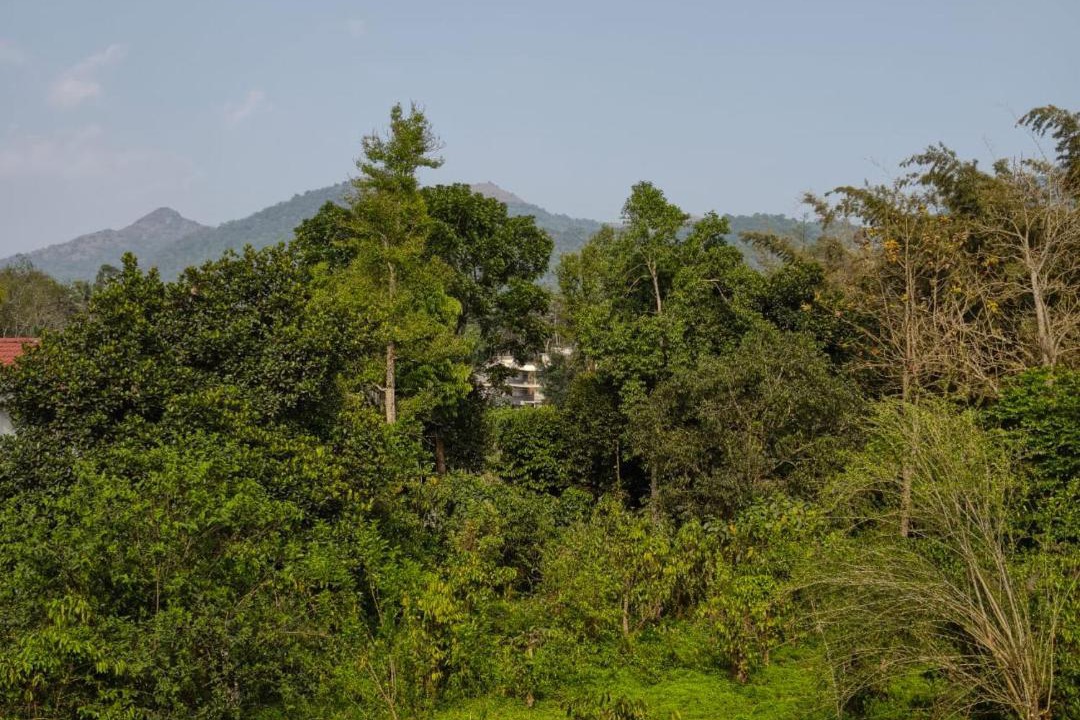 Photo of Others in Kalpetta