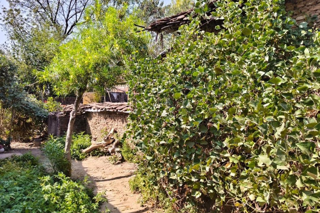 Photo of Others in Ajaigarh
