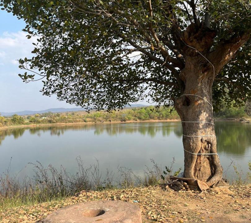 Photo of Others in Marhi