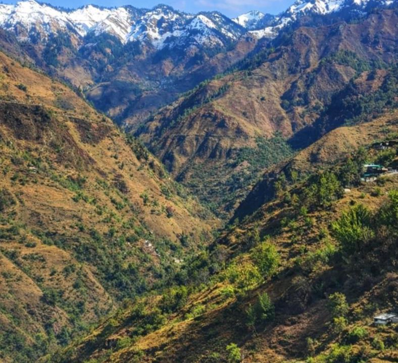 Photo of Others in Chakrata