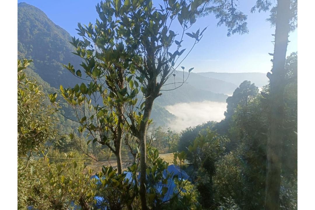 Photo of Others in Naina Range