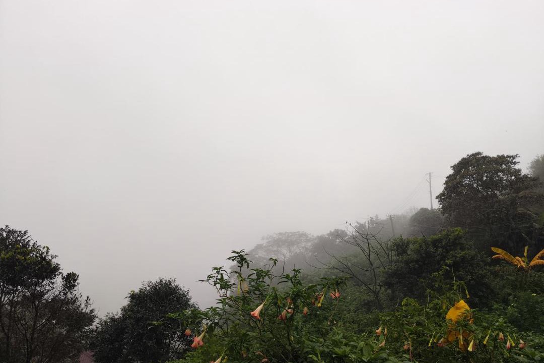 Photo of Others in Madikeri