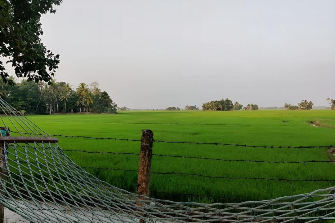 Photo of Others in Mankombu