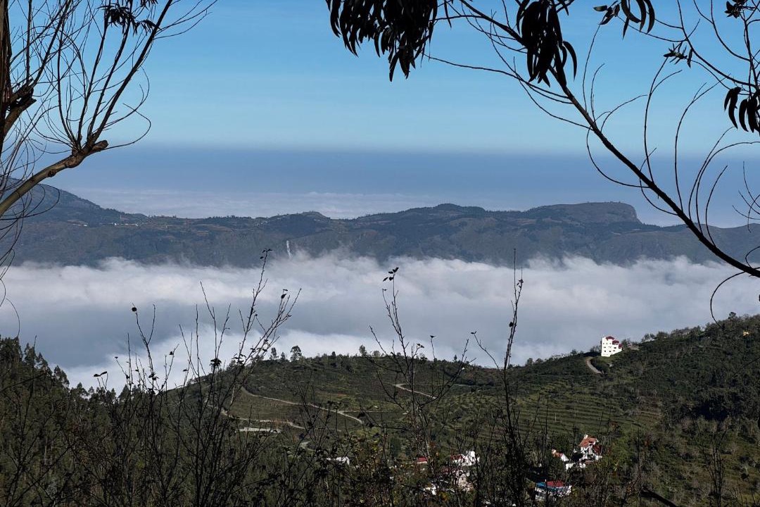 Photo of Others in Kodaikanal