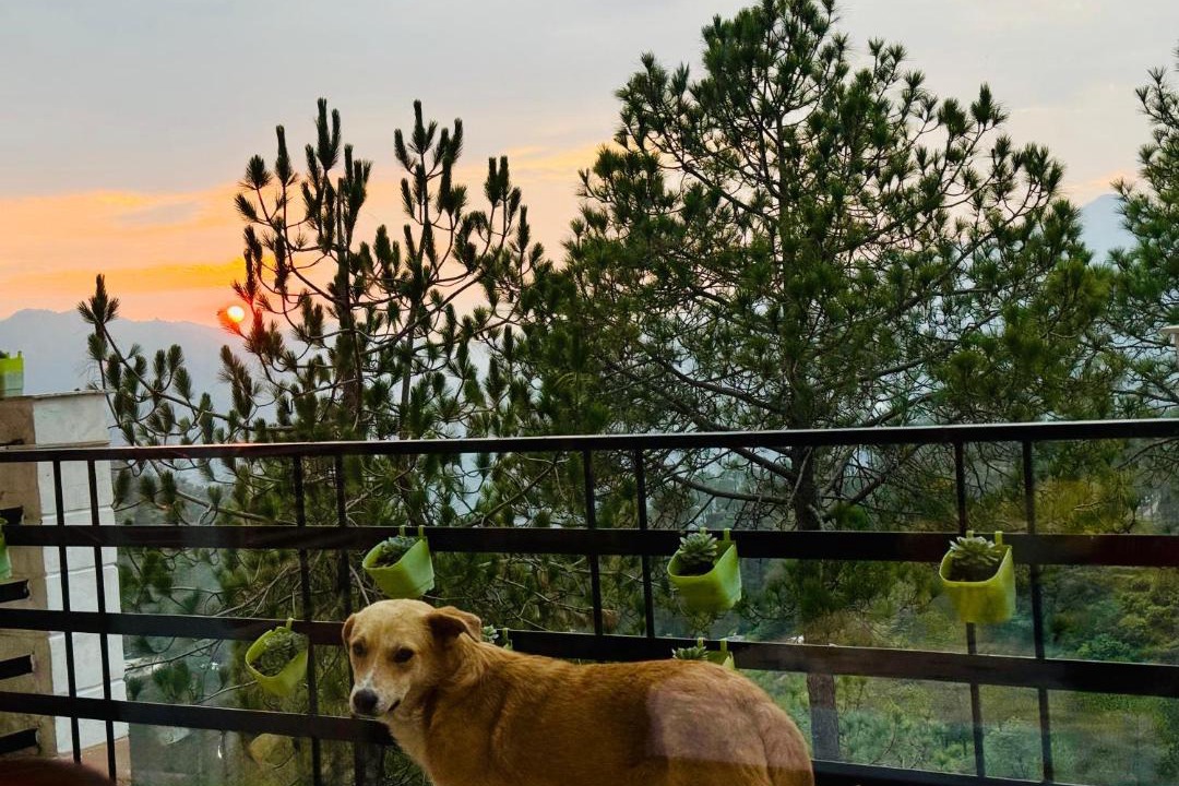 Photo of Patio Balcony in Chail