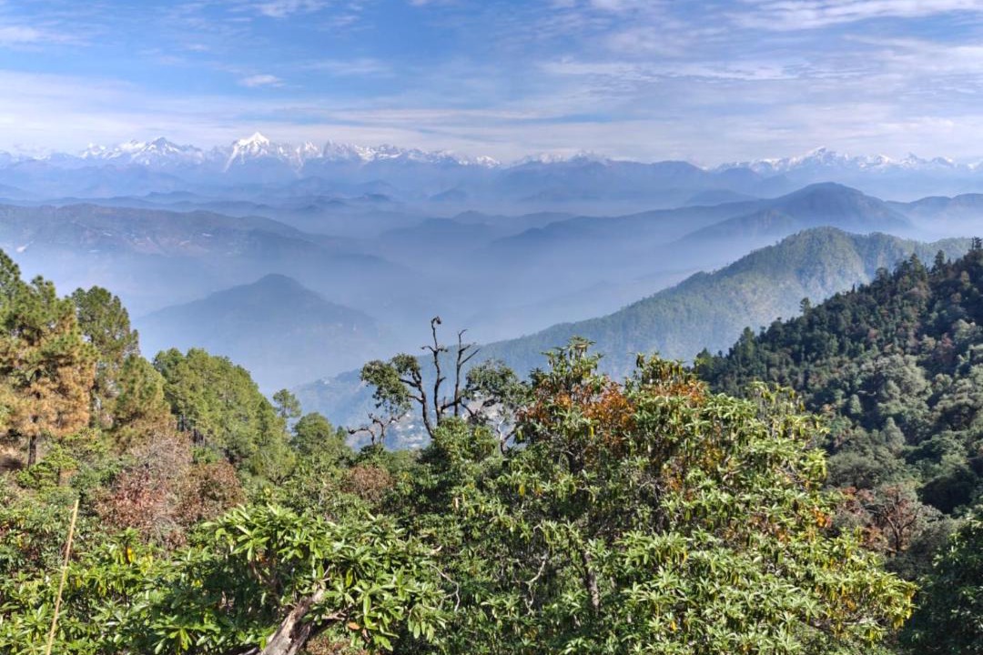 Photo of Others in Almora