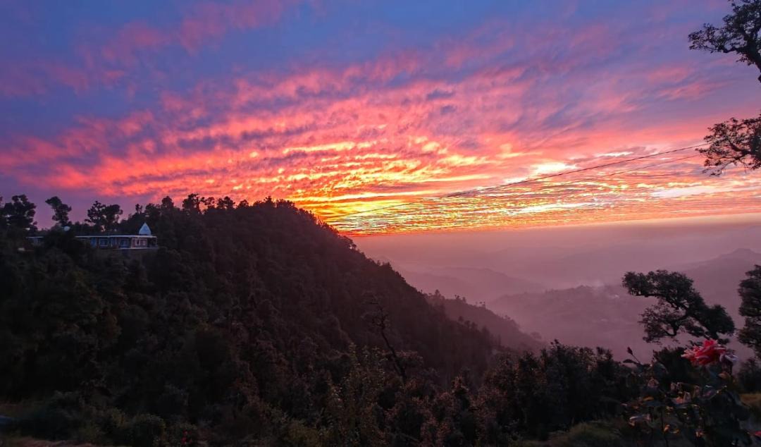 Photo of Others in Almora