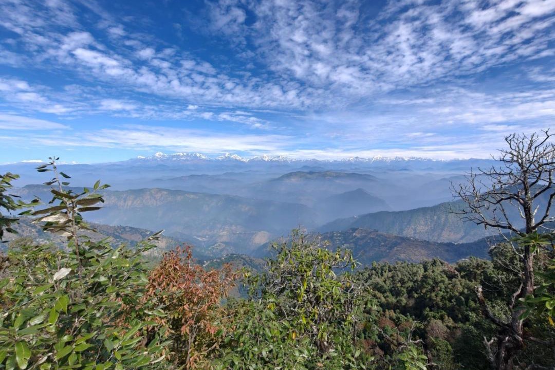 Photo of Others in Almora