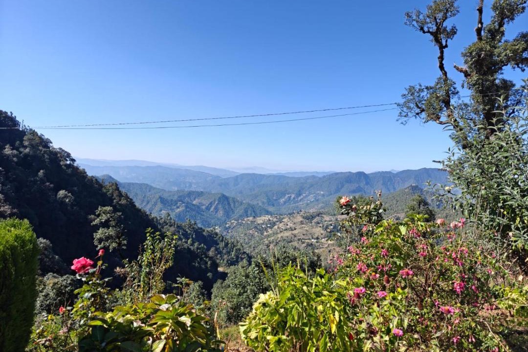 Photo of Others in Almora
