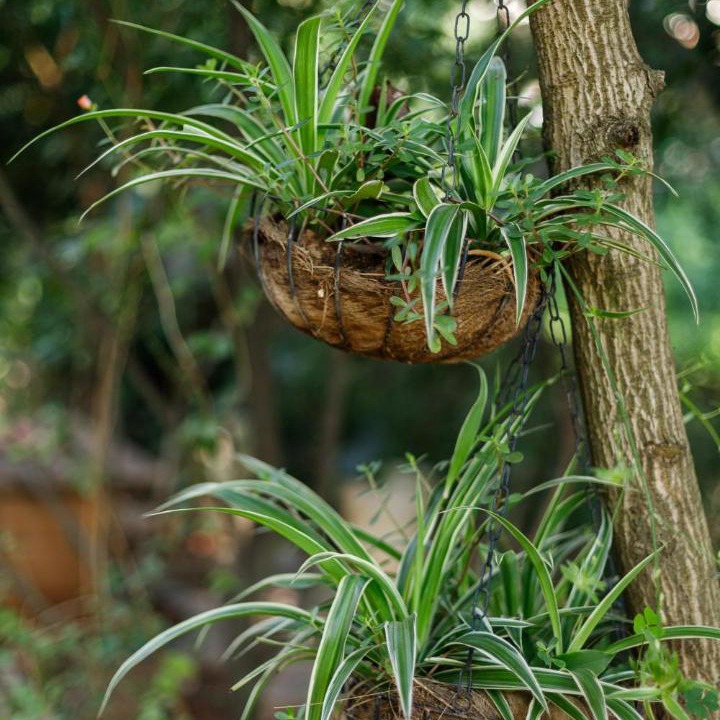 Photo of Others in Bengaluru