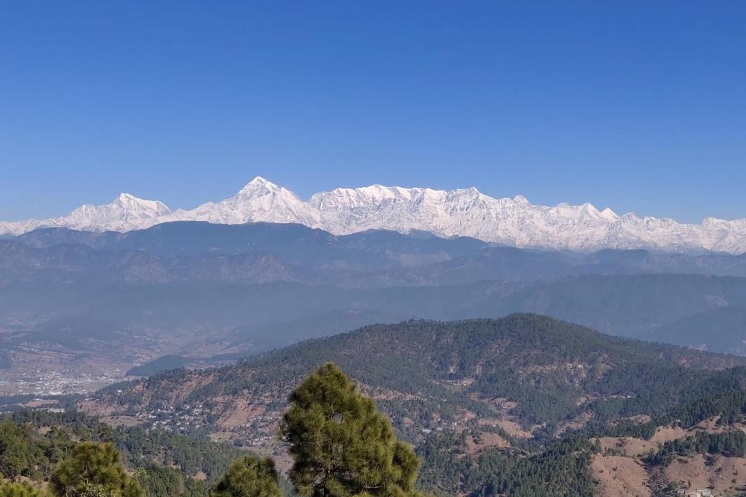 Photo of Others in Kausani