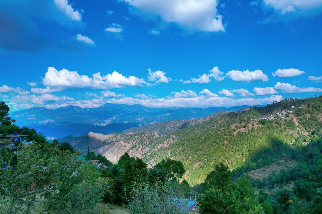 Photo of Others in Majkhali