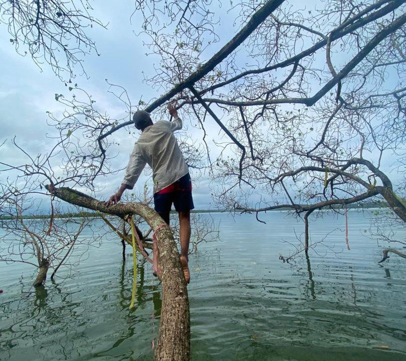 Photo of Others in Munroe Island