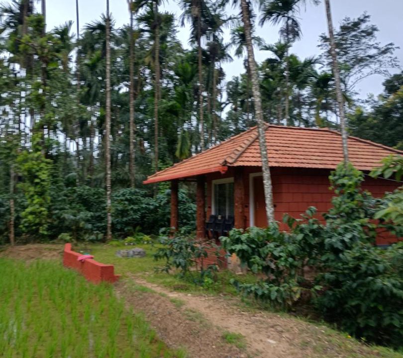 Photo of Others in Kaimane