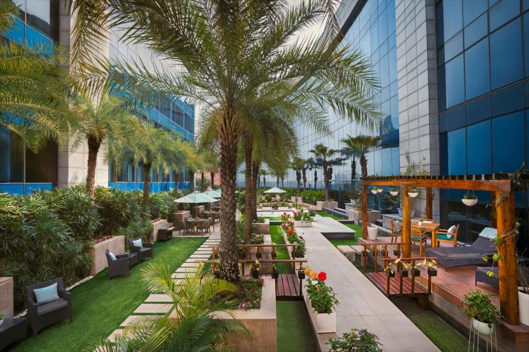 Photo of Others in DLF Phase 3