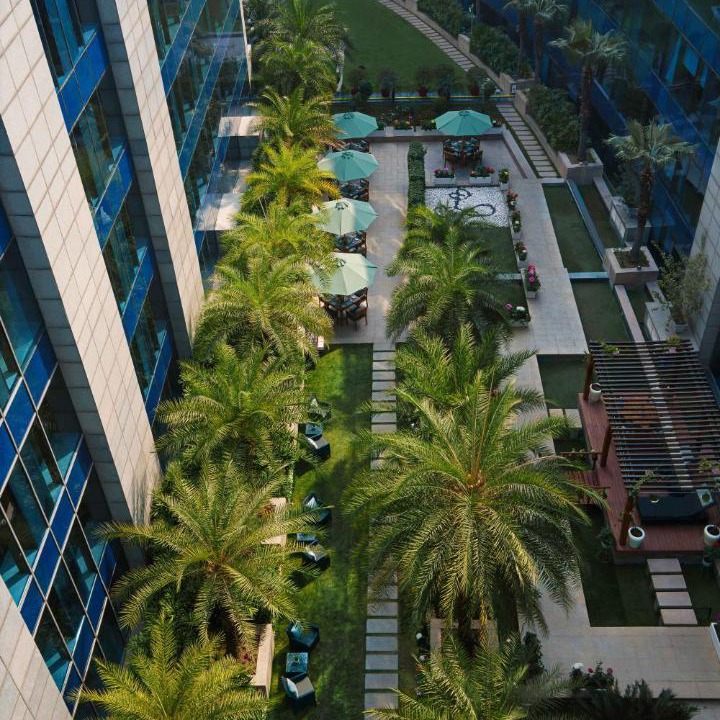 Photo of Others in DLF Phase 3