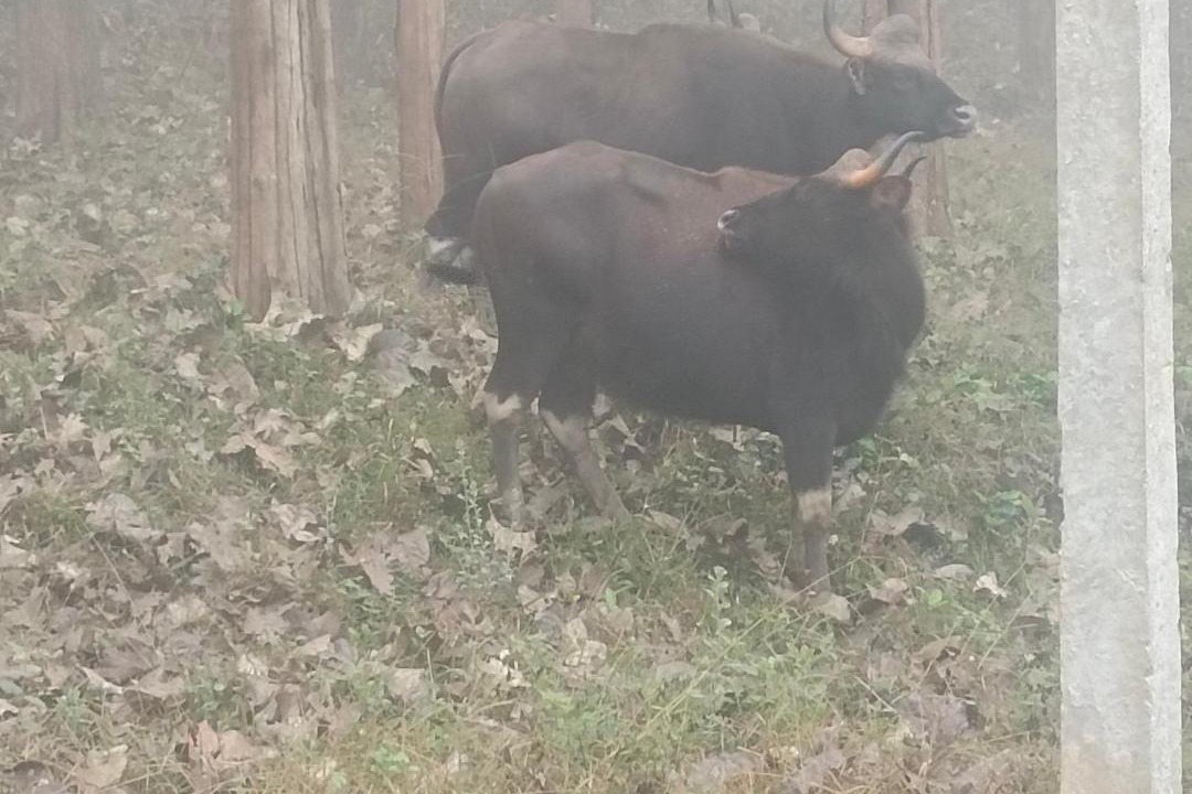 Photo of Others in Kaimane