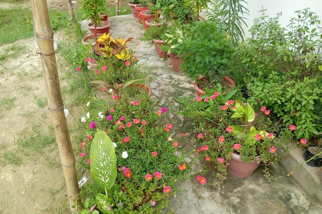 Photo of Others in Faizabad