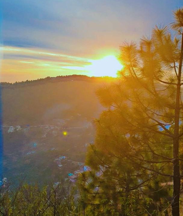 Photo of Others in Barog